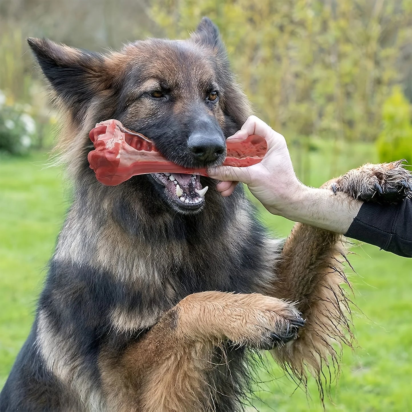 Durable dog chew toys for powerful chewing dogs, sturdy, non-toxic natural rubber toys for cleaning canine teeth