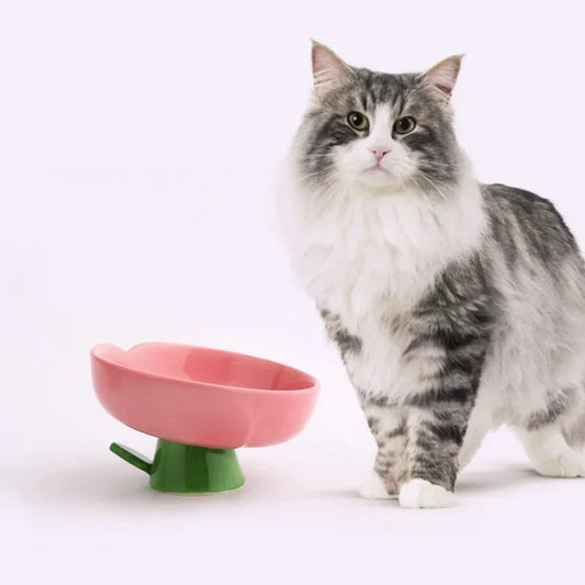 Cat Raised Ceramic Bowl Cute Flower Shaped Puppy Dogs Food Water Feeders Elevated Pet Drinking Eating Supplies