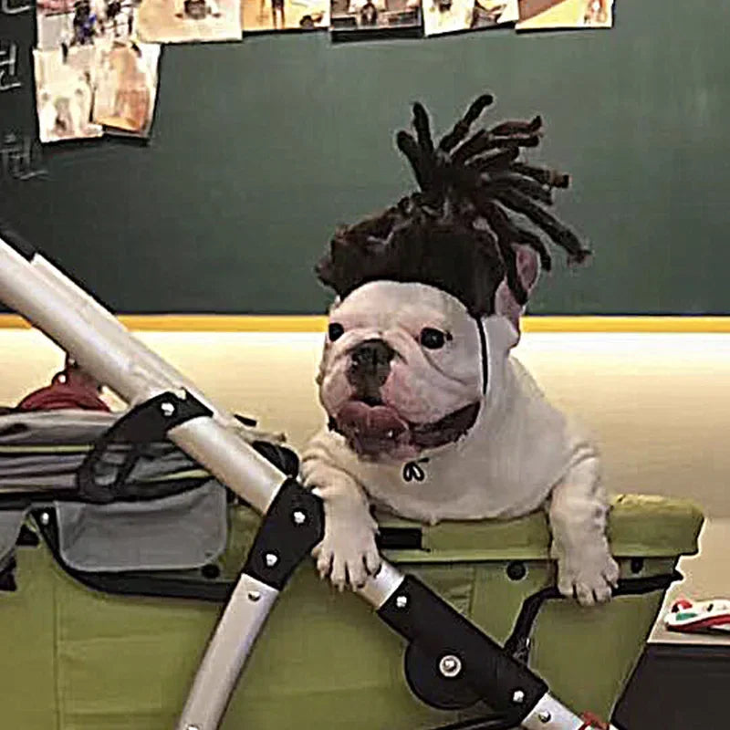 Pet Wigs Dog Wigs Pet Supplies Halloween Pet Accessories Curly Hair Straight Hair Cat Wigs