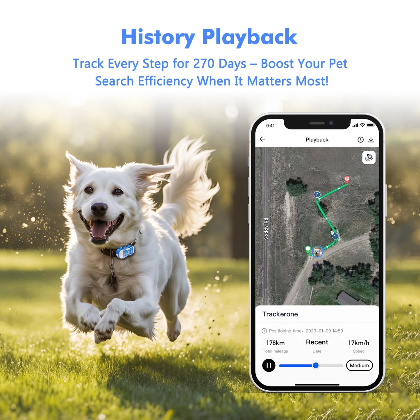 4G Dog Cat GPS Tracker for Pets - Waterproof Smart Locator with App, Live Tracking & Light/Sound Search with Subscription