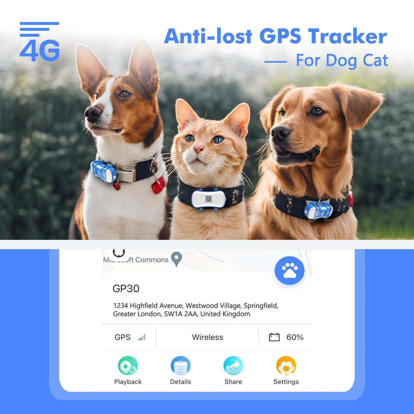 4G Dog Cat GPS Tracker for Pets - Waterproof Smart Locator with App, Live Tracking & Light/Sound Search with Subscription