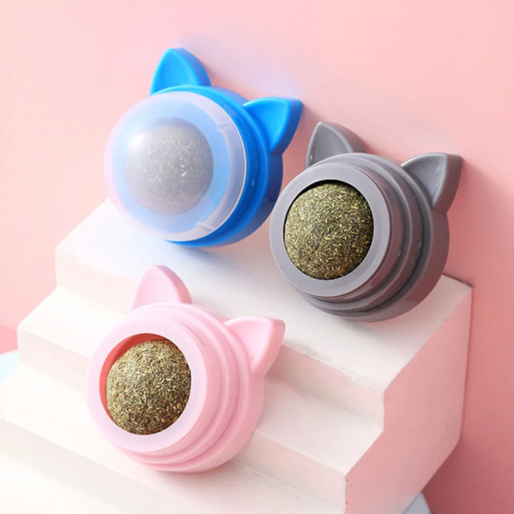 Rotatable Catnip Molar Stick Self-Adhesive Cat Cleaning Toy with Transparent Cover Catnip Balls Toy for Cats Pet Health Supplies