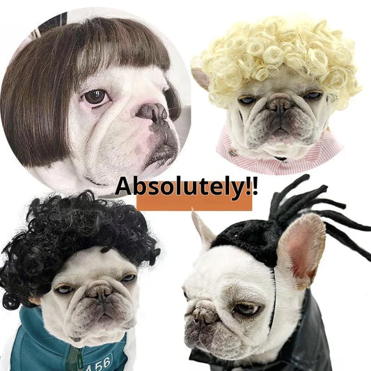Pet Wigs Dog Wigs Pet Supplies Halloween Pet Accessories Curly Hair Straight Hair Cat Wigs