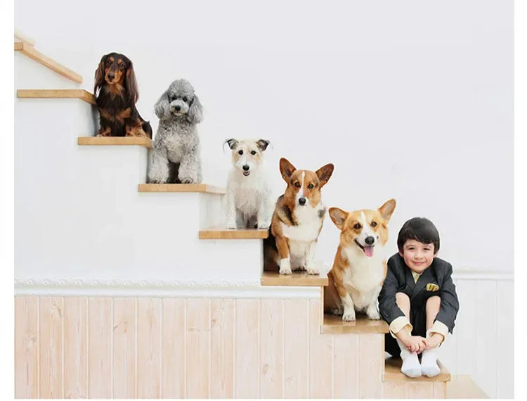 Warm Dog House Soft  Large Dog Bed