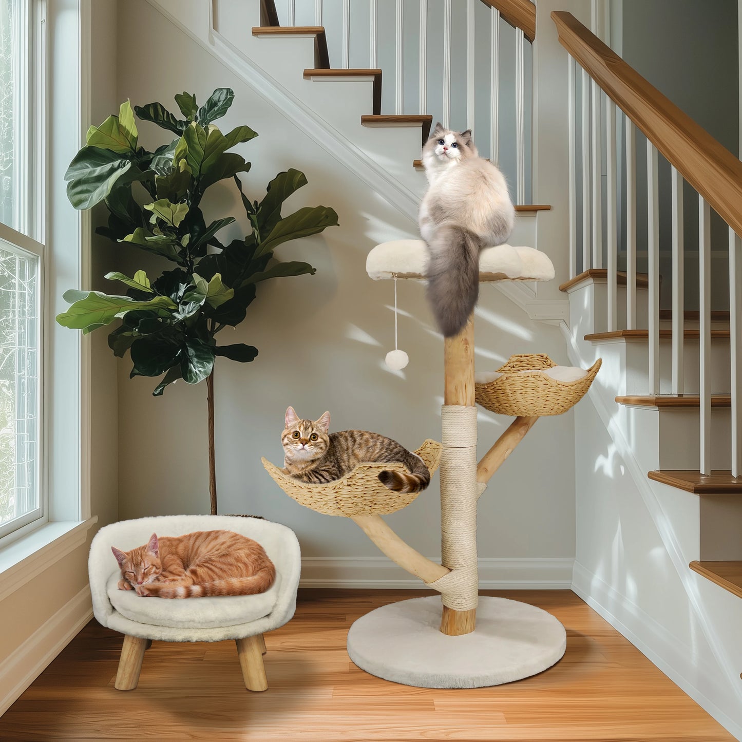 Bingopaw Cat Tree Tower Condo Furniture Scratch Post for Kittens Pet House Play