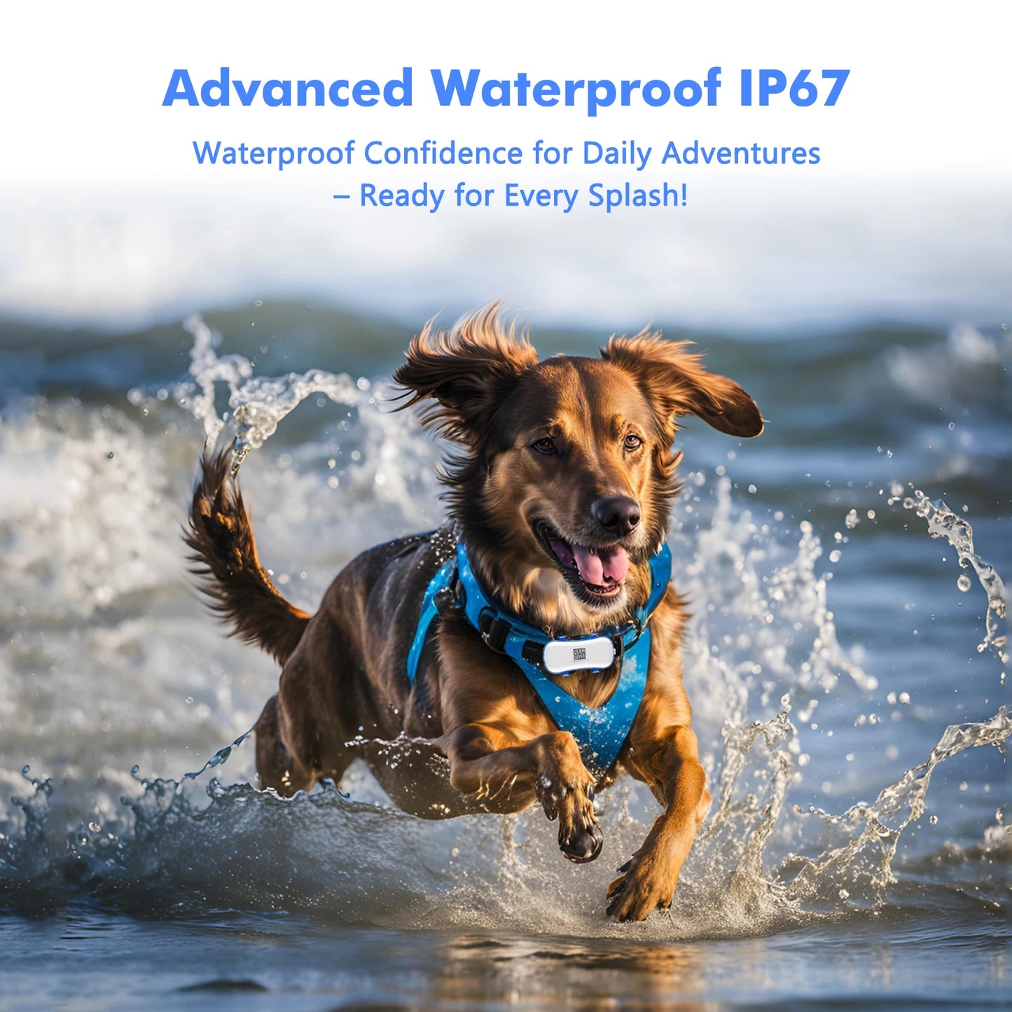 4G Dog Cat GPS Tracker for Pets - Waterproof Smart Locator with App, Live Tracking & Light/Sound Search with Subscription