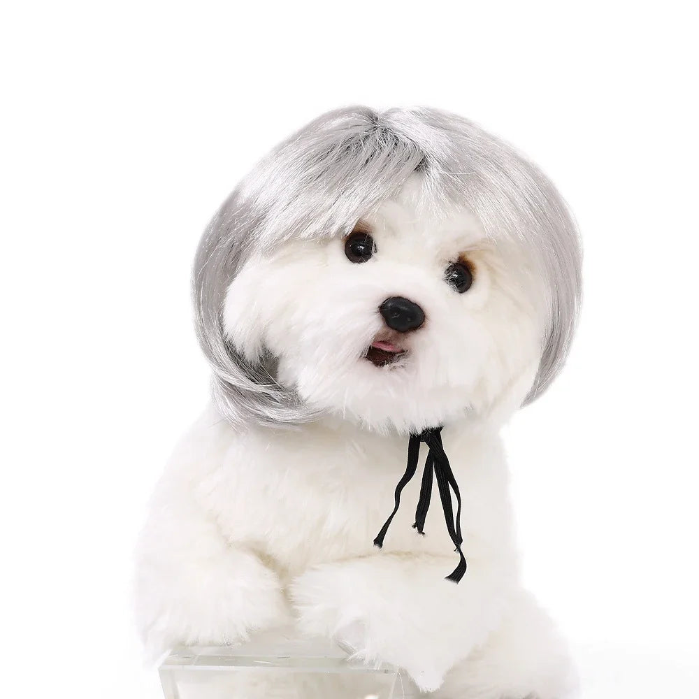 Pet Wigs Dog Wigs Pet Supplies Halloween Pet Accessories Curly Hair Straight Hair Cat Wigs