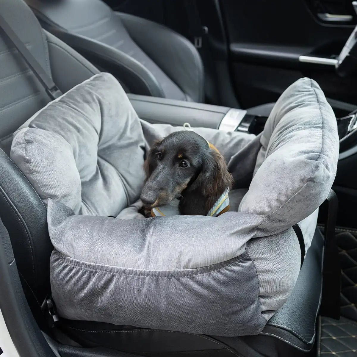 2-in-1 Dog Car Seat Carrier Bag - Detachable with Handles and Safety Belt, Travel Dog Booster Seat for Small Medium Dogs Cats