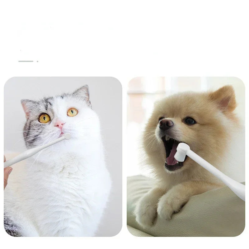 Lovely Toothbrush Burrs-free Heavy Duty Anti-crack Pet  Teeth Cleaning Brush