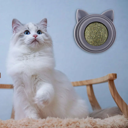 Rotatable Catnip Molar Stick Self-Adhesive Cat Cleaning Toy with Transparent Cover Catnip Balls Toy for Cats Pet Health Supplies