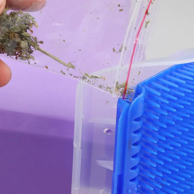 Pet Comb Removable Cat Corner Scratching Rubbing Brush Pet Hair Removal Massage Comb Pet Grooming Cleaning Supplies