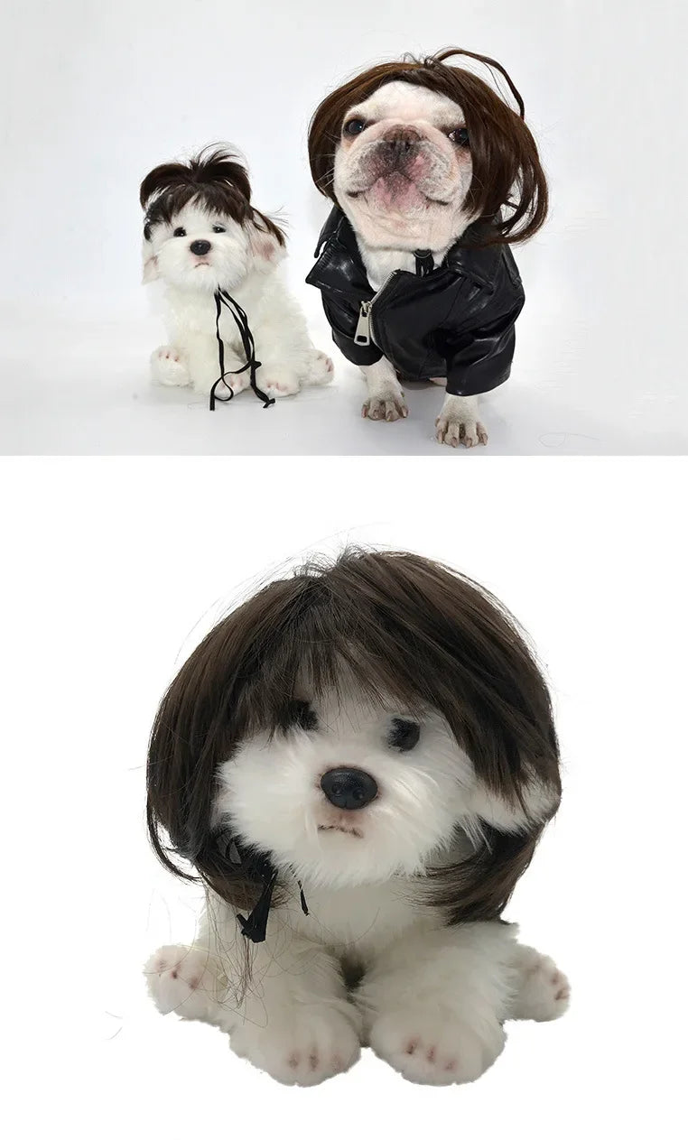Pet Wigs Dog Wigs Pet Supplies Halloween Pet Accessories Curly Hair Straight Hair Cat Wigs