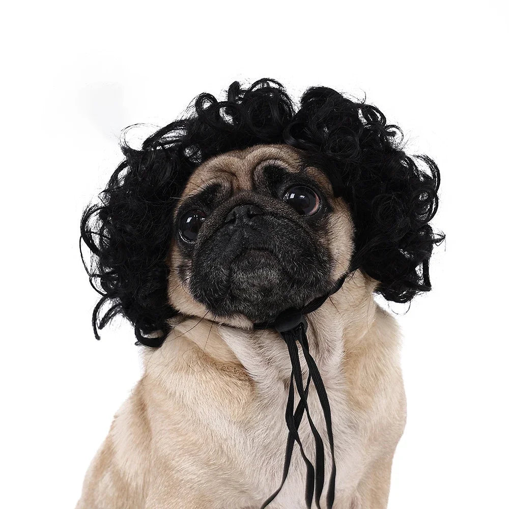 Pet Wigs Dog Wigs Pet Supplies Halloween Pet Accessories Curly Hair Straight Hair Cat Wigs