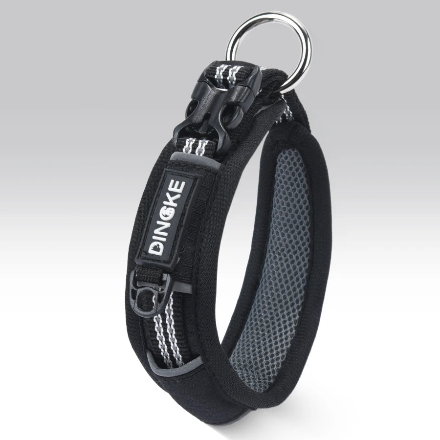 CP573--New Arrival Pet Dog Collar with High Density Webbing, Wide Kind Collar for 11-26 Neck Circumference.