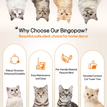 Bingopaw Cat Tree Tower Condo Furniture Scratch Post for Kittens Pet House Play