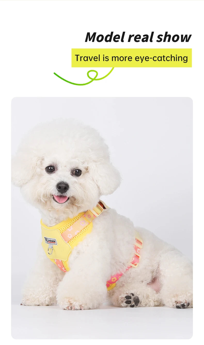 OODUDUOO Dog Harness and Leash Set Adjustable Pet Harness Vest For Small Medium Dogs Pet Collar Dog Chest Strap Outdoor Supplies