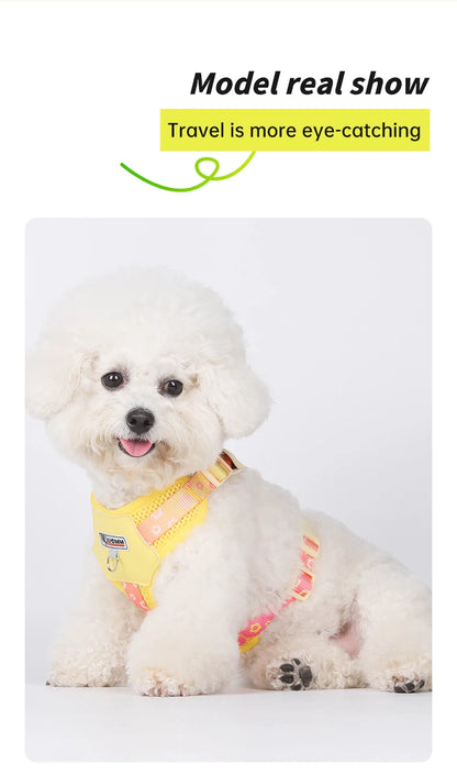 OODUDUOO Dog Harness and Leash Set Adjustable Pet Harness Vest For Small Medium Dogs Pet Collar Dog Chest Strap Outdoor Supplies