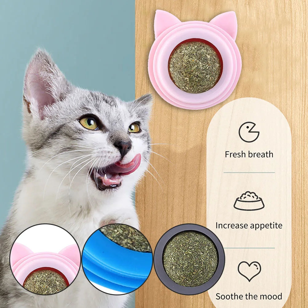 Rotatable Catnip Molar Stick Self-Adhesive Cat Cleaning Toy with Transparent Cover Catnip Balls Toy for Cats Pet Health Supplies