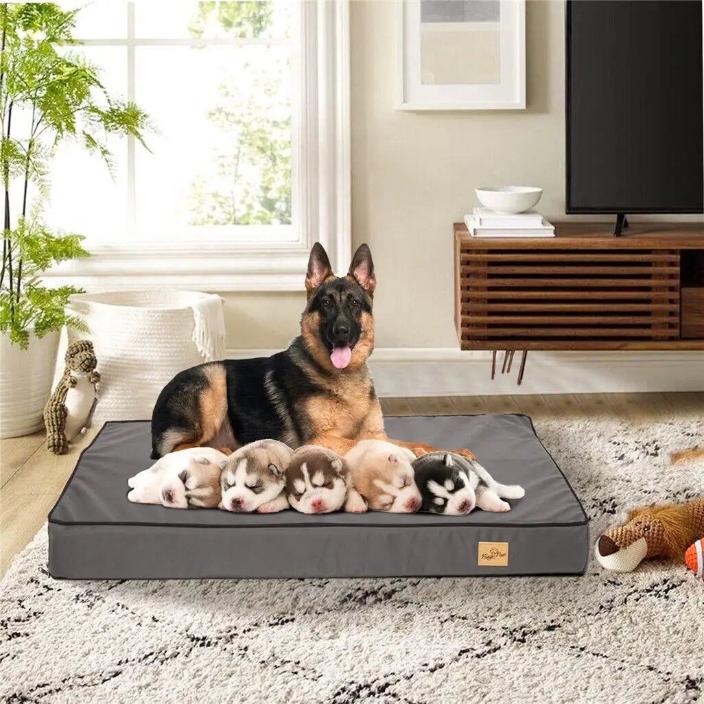 M L XL 2XL Dog Bed Jumbo Pet Orthopedic Bed Memory Foam Base Crate Mattess Cushion with Washable Cover Waterproof