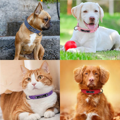 Personalized Customized Leather ID Nameplate Dog Collar Soft Padded Dogs Collars Free Engraving Name for Small Medium Large Dogs