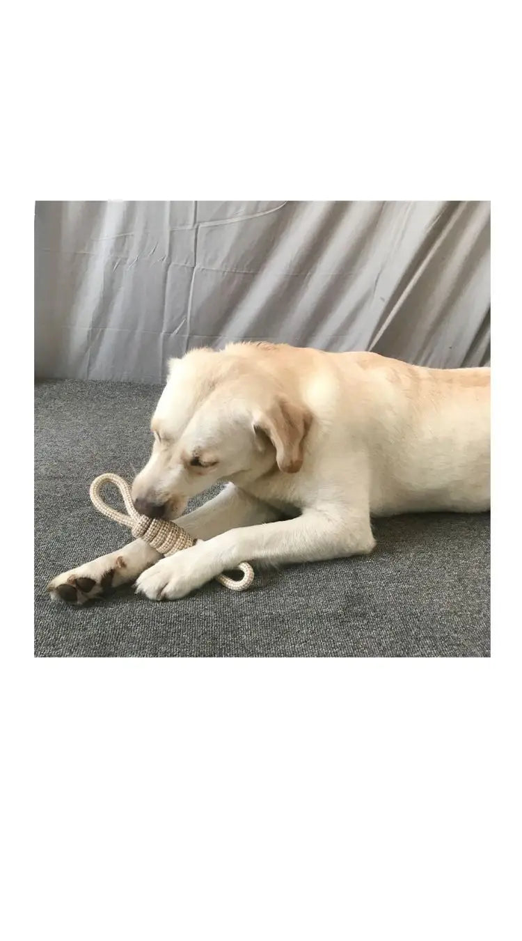 1Pc Cat Dog Knot Toy Cleaning Teeth Grinding Teeth Interest Interactive Wear Resistant Knot Toy Play Entertainment Pet Supplies