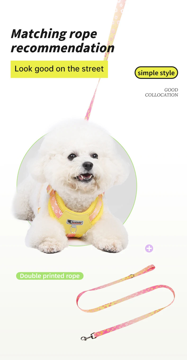 OODUDUOO Dog Harness and Leash Set Adjustable Pet Harness Vest For Small Medium Dogs Pet Collar Dog Chest Strap Outdoor Supplies