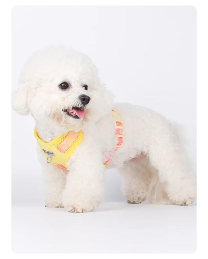 OODUDUOO Dog Harness and Leash Set Adjustable Pet Harness Vest For Small Medium Dogs Pet Collar Dog Chest Strap Outdoor Supplies