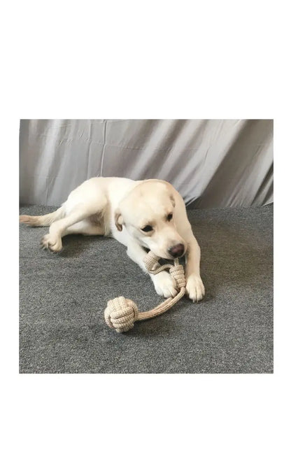 1Pc Cat Dog Knot Toy Cleaning Teeth Grinding Teeth Interest Interactive Wear Resistant Knot Toy Play Entertainment Pet Supplies