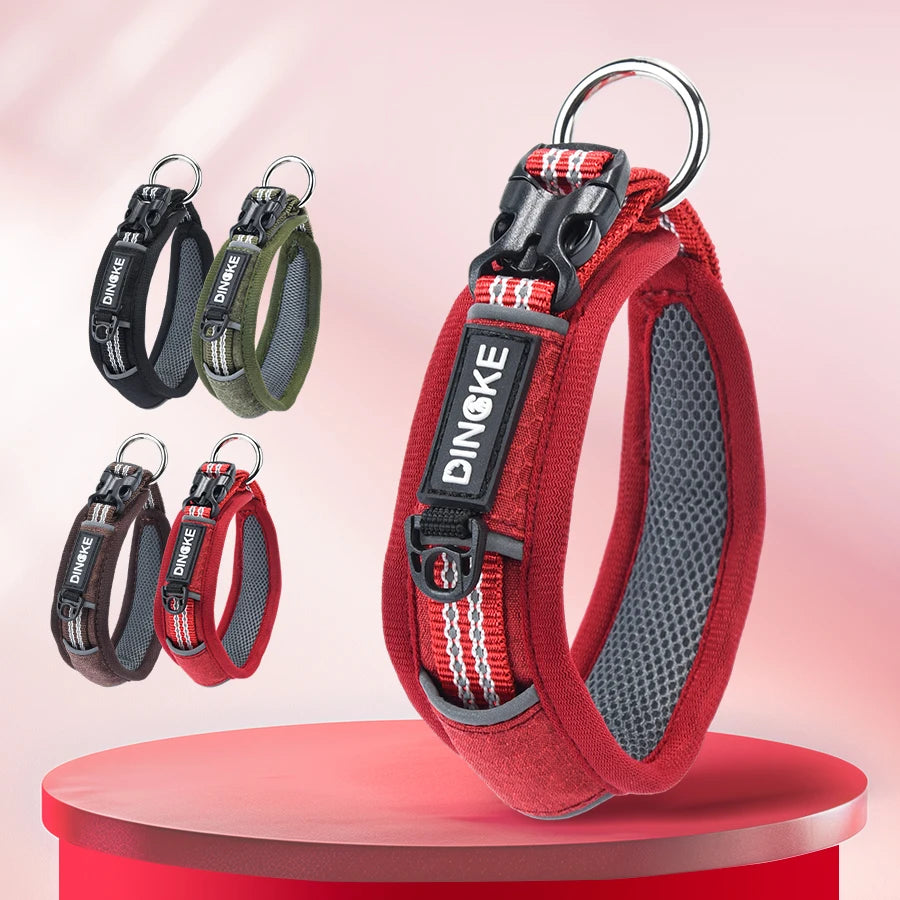 CP573--New Arrival Pet Dog Collar with High Density Webbing, Wide Kind Collar for 11-26 Neck Circumference.