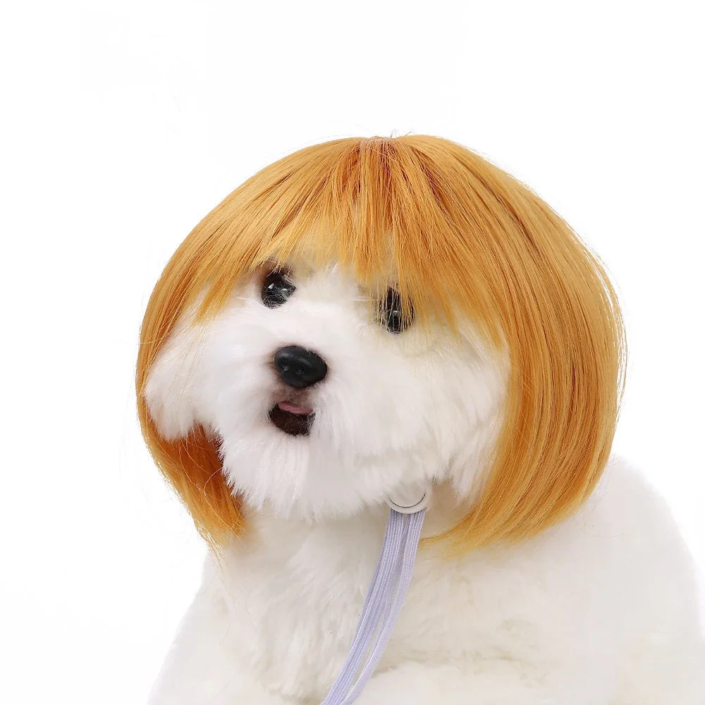 Pet Wigs Dog Wigs Pet Supplies Halloween Pet Accessories Curly Hair Straight Hair Cat Wigs