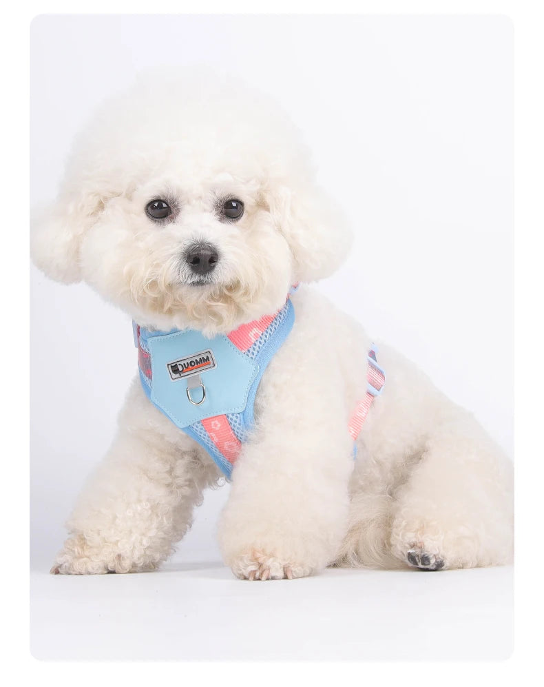 OODUDUOO Dog Harness and Leash Set Adjustable Pet Harness Vest For Small Medium Dogs Pet Collar Dog Chest Strap Outdoor Supplies