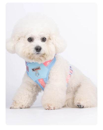 OODUDUOO Dog Harness and Leash Set Adjustable Pet Harness Vest For Small Medium Dogs Pet Collar Dog Chest Strap Outdoor Supplies