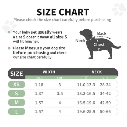 CP573--New Arrival Pet Dog Collar with High Density Webbing, Wide Kind Collar for 11-26 Neck Circumference.