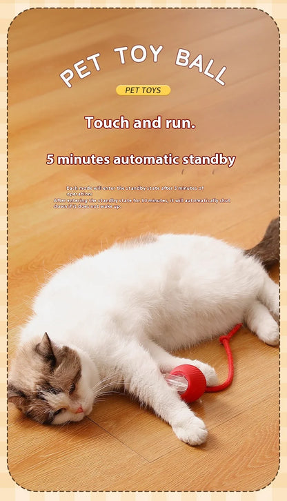 2Pcs Cat Interactive Ball Toys Automatic Rolling Ball Faux Tail Rechargeable Smart Pet Electric Toy Cat Training Imitate Mouse