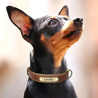 Personalized Customized Leather ID Nameplate Dog Collar Soft Padded Dogs Collars Free Engraving Name for Small Medium Large Dogs