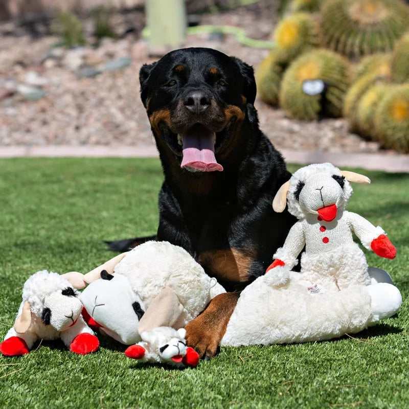 Lamb Chop Plush Dog Toy with Squeaker Interactive Puppy Toy for Small Medium Dogs Cute Soft Chew Toy for Pets