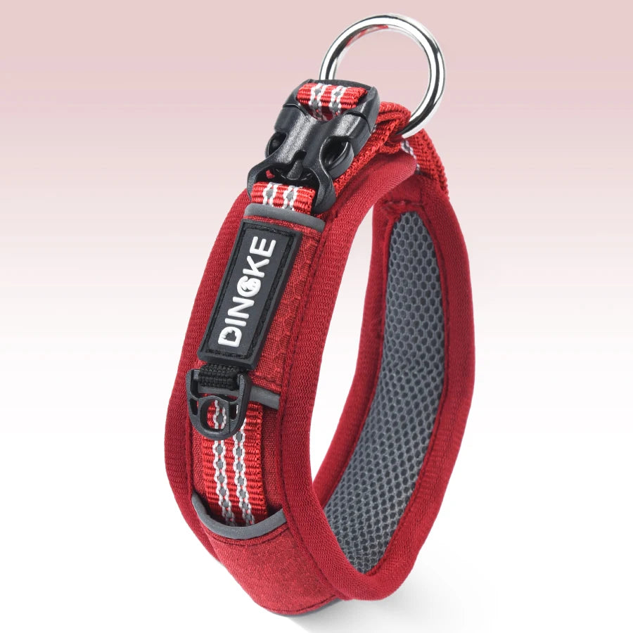 CP573--New Arrival Pet Dog Collar with High Density Webbing, Wide Kind Collar for 11-26 Neck Circumference.