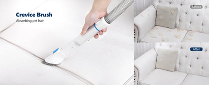 Dog Grooming Kit with 2L Vacuum Suction 99% Pet Hair-Professional Pet Grooming Vacuum Kit with 5 Grooming Tools for Dogs Cats