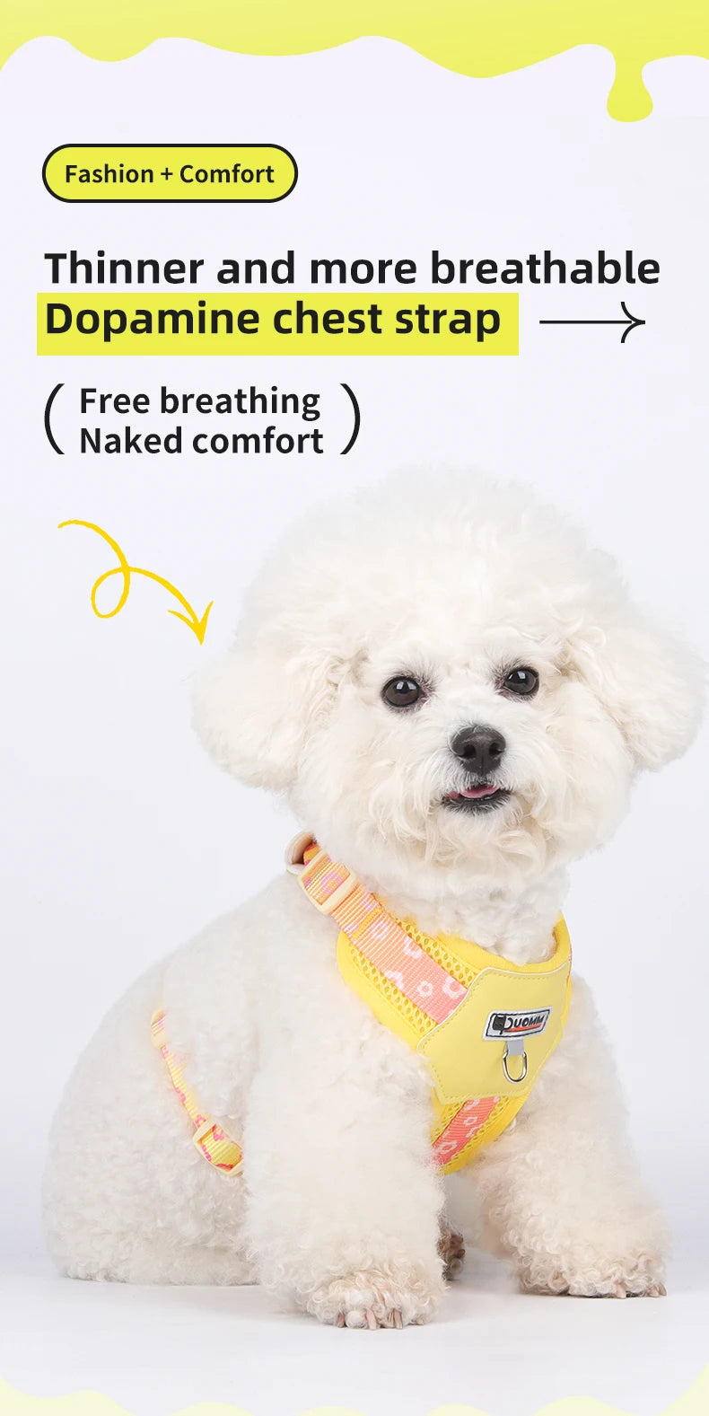 OODUDUOO Dog Harness and Leash Set Adjustable Pet Harness Vest For Small Medium Dogs Pet Collar Dog Chest Strap Outdoor Supplies