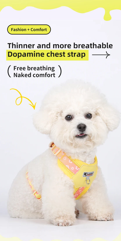 OODUDUOO Dog Harness and Leash Set Adjustable Pet Harness Vest For Small Medium Dogs Pet Collar Dog Chest Strap Outdoor Supplies