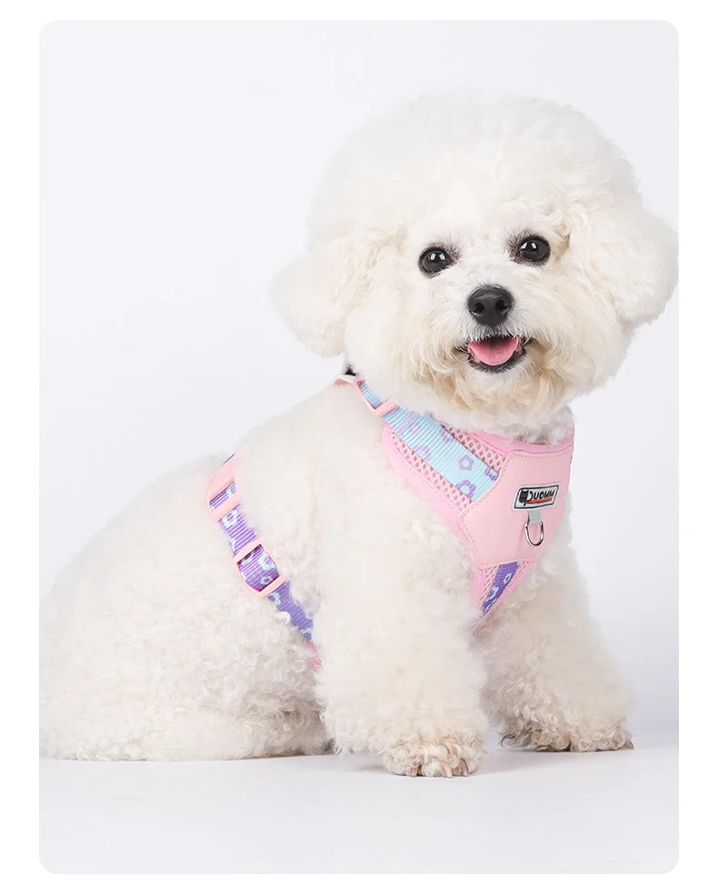 OODUDUOO Dog Harness and Leash Set Adjustable Pet Harness Vest For Small Medium Dogs Pet Collar Dog Chest Strap Outdoor Supplies