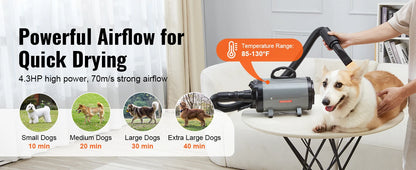 SucceBuy 2000W/2.7HP Dog Blow Dryer Adjustable Speed Temperature Control with 4 Nozzle and Extendable Hose for Pet Hair Grooming