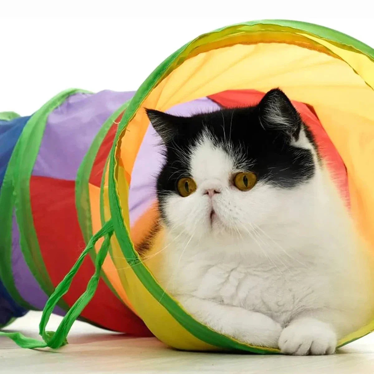 1pc Cat Tunnel Tube - Foldable Cat Tube