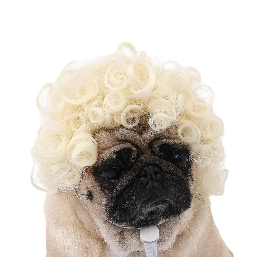 Pet Wigs Dog Wigs Pet Supplies Halloween Pet Accessories Curly Hair Straight Hair Cat Wigs