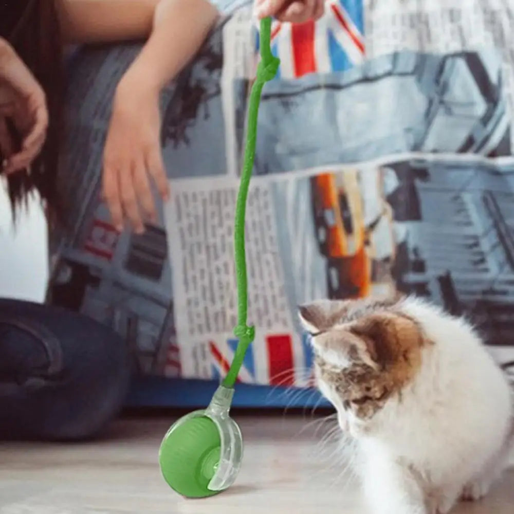 Electric Cat Ball Toys Automatic Rolling Ball Faux Tail Rechargeable Smart Pet Interactive Toy Dog Cat Training Imitate