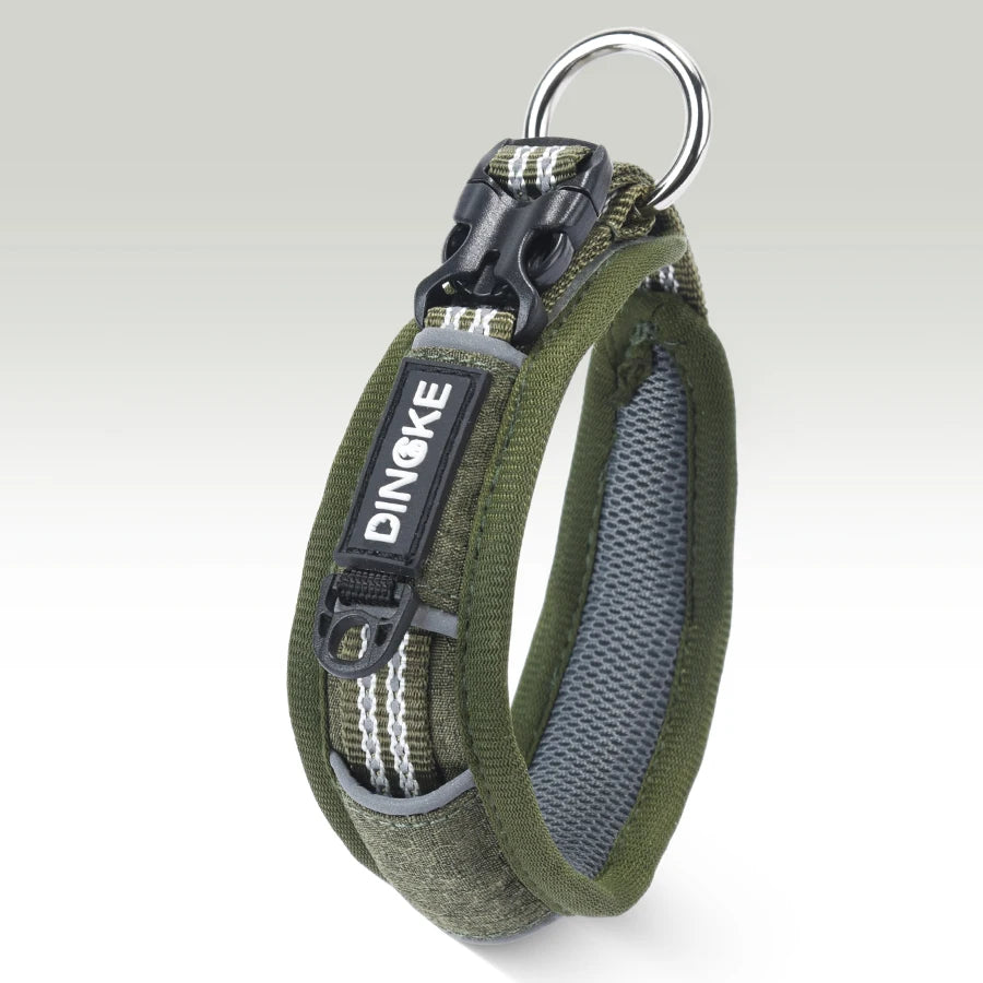 CP573--New Arrival Pet Dog Collar with High Density Webbing, Wide Kind Collar for 11-26 Neck Circumference.